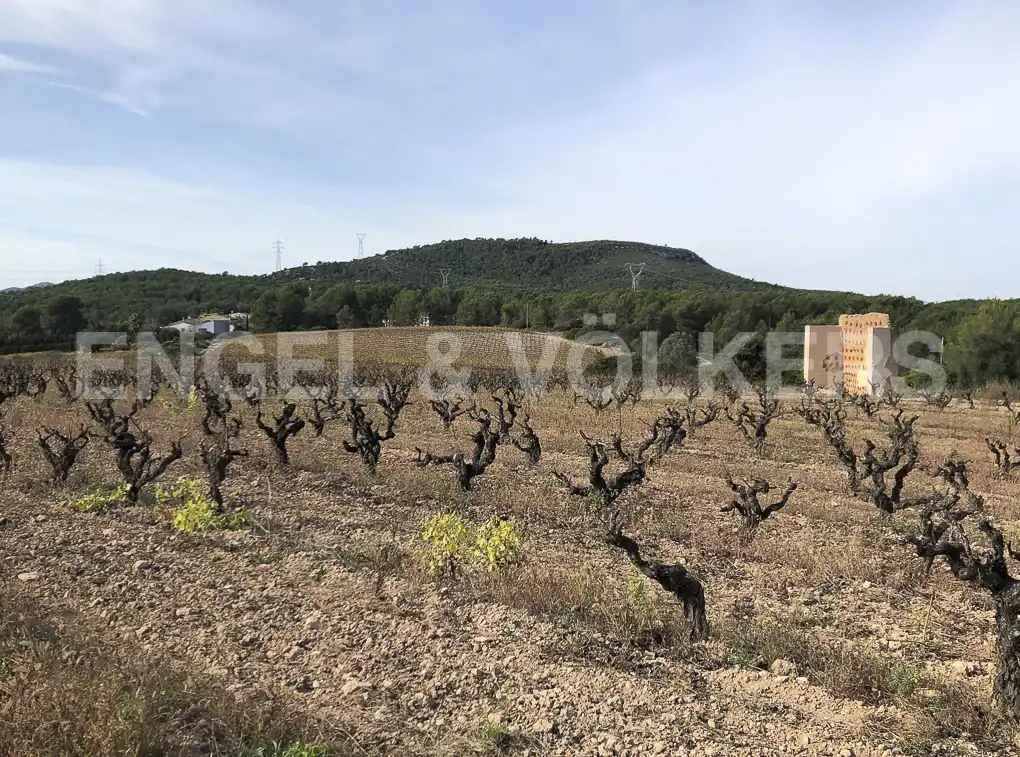 Terreny residencial en venda a Avinyonet del Penedès, imagen 18