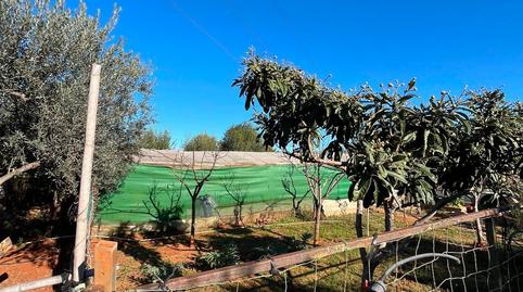 Photo 4 of House or chalet for sale in Artana, Avenida Alemania-Italia, Vila-real