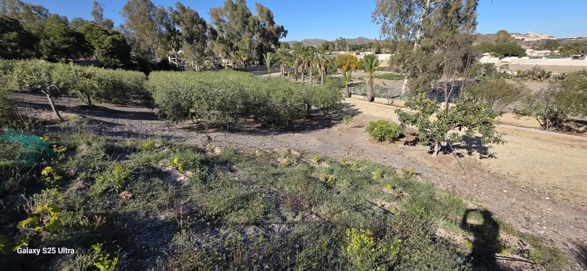 Villa avec jardin à vendre à Carretera de Cope Águilas a Calabardina, imagen 37