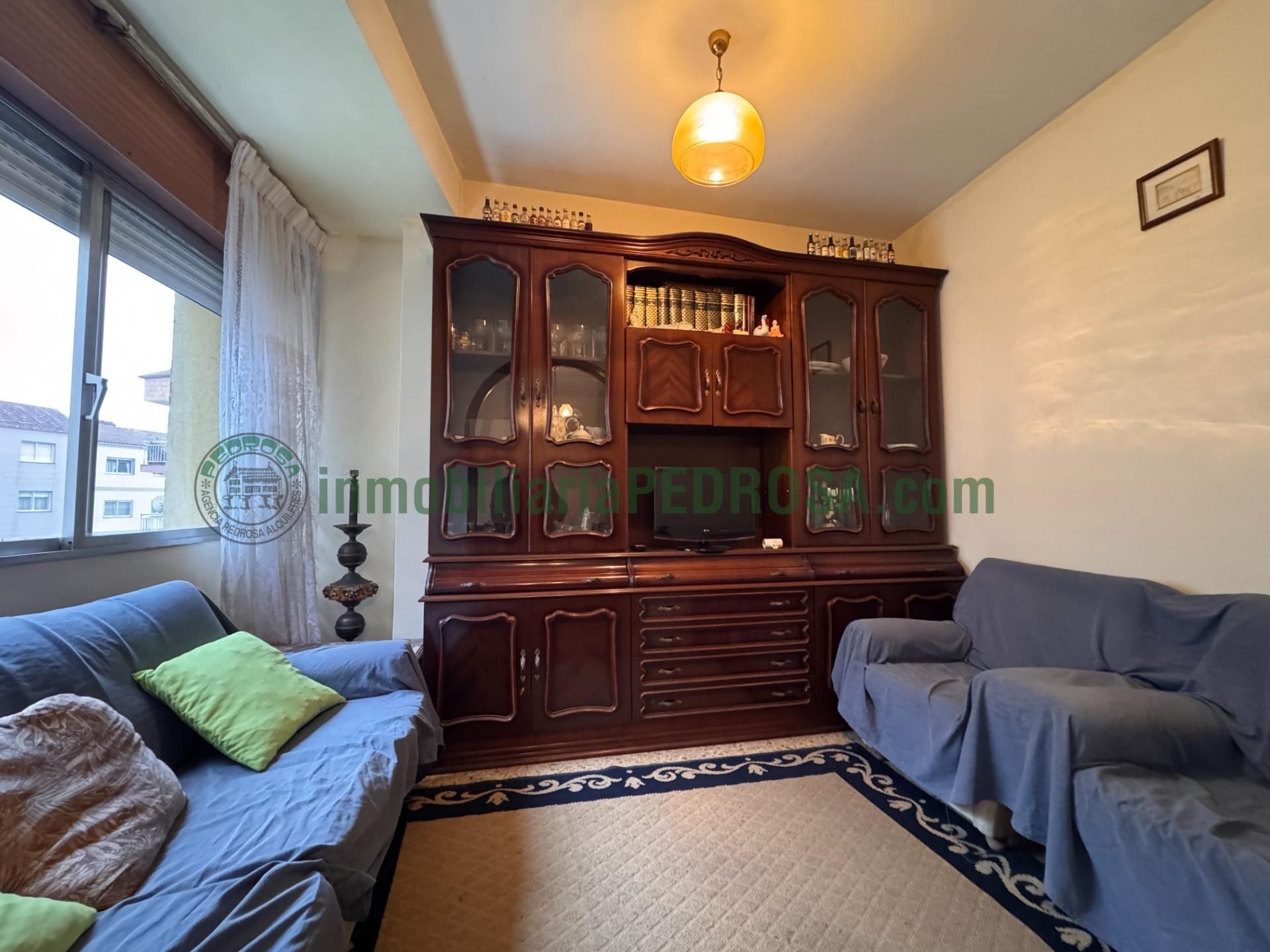 Living room of Flat for sale in Pontevedra Capital 