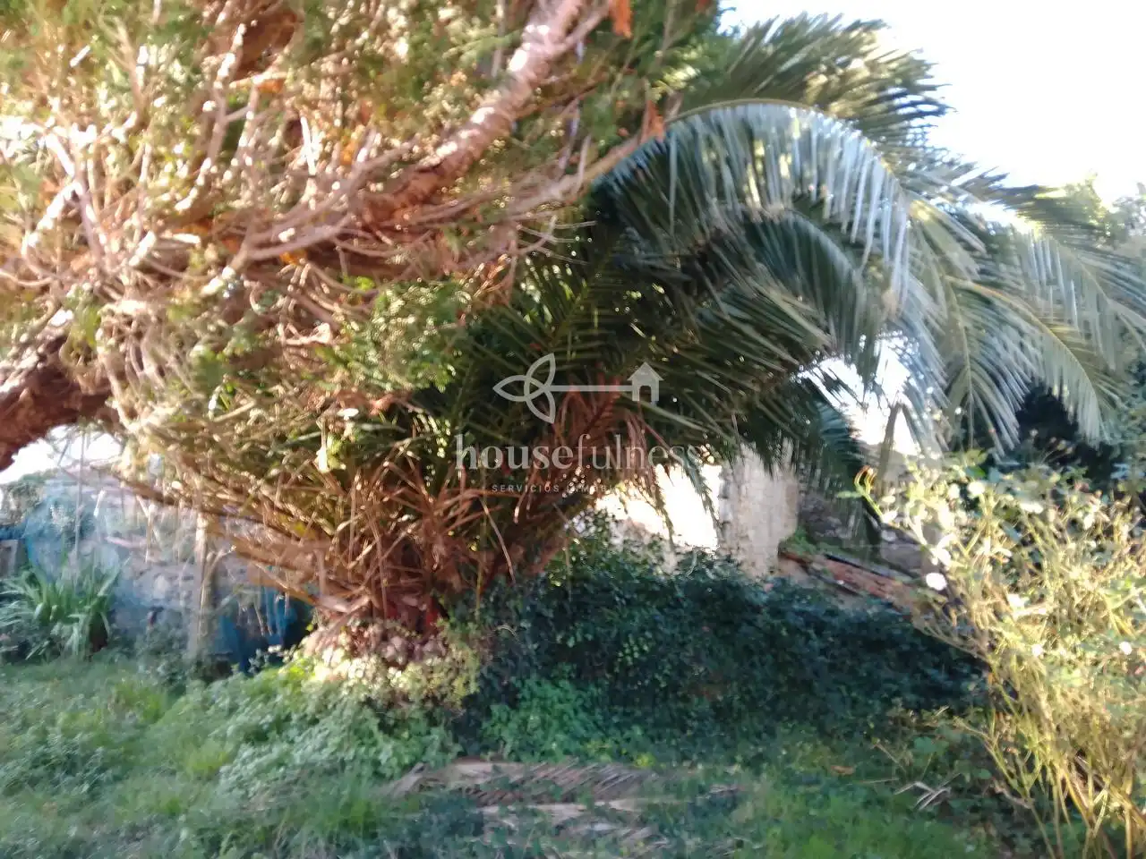 Country house zum Verkauf in Neda mit Privatgarten