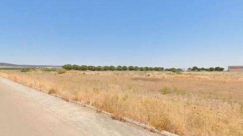 Foto 4 de Terreno industrial en venta en Calle Alemania, 1, Burguillos, Sevilla