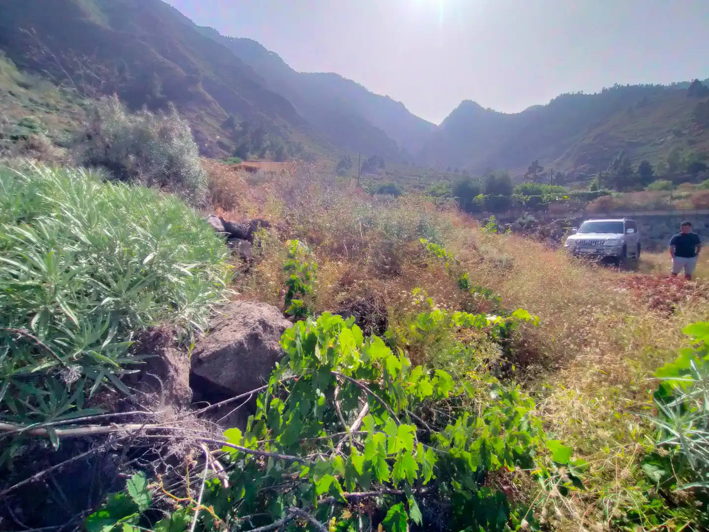 Terreno en venta en Güímar