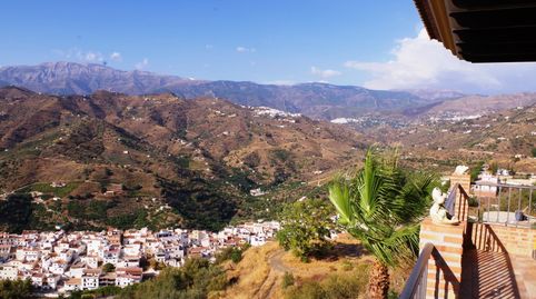 Foto 2 de Finca rústica en venta en Sayalonga, Málaga