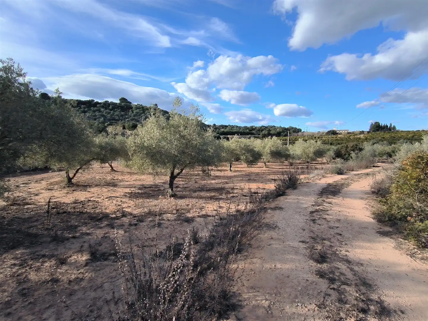 Terreno rustico in vendita a Carretera Vecinal Num 27 8, imagen 14
