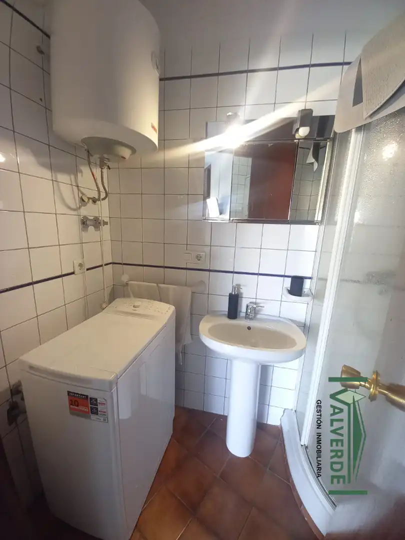Studio with terrace to rent in Plaza de Gracia, imagen 7