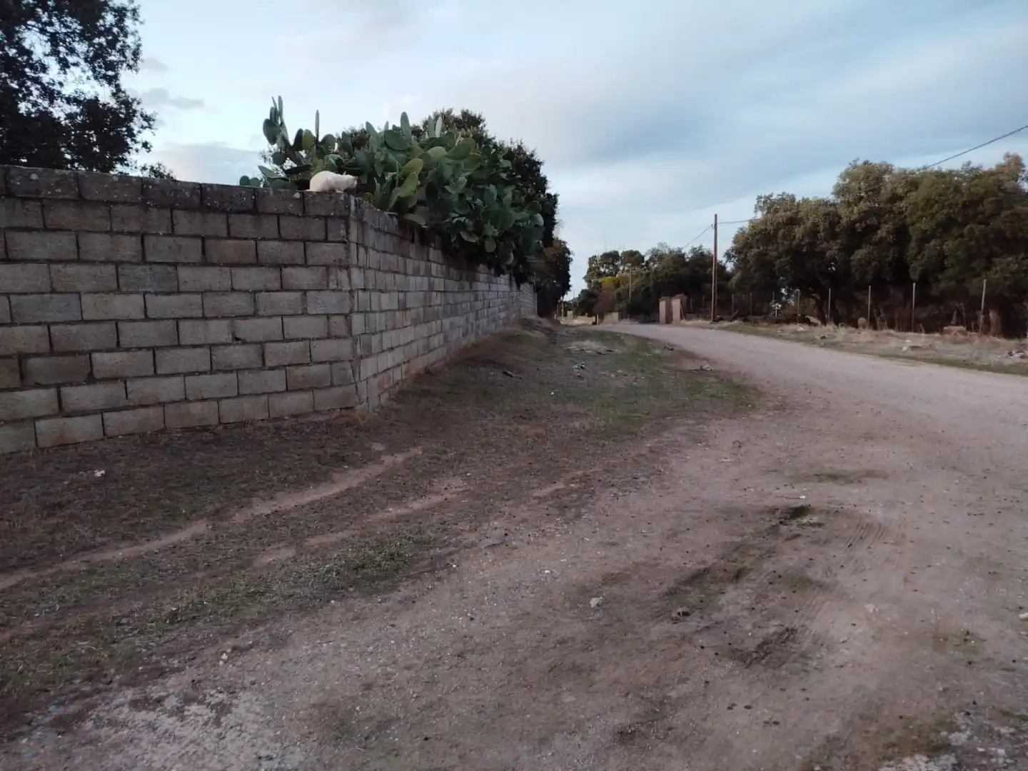 Terreny industrial en venda en Casar de Cáceres