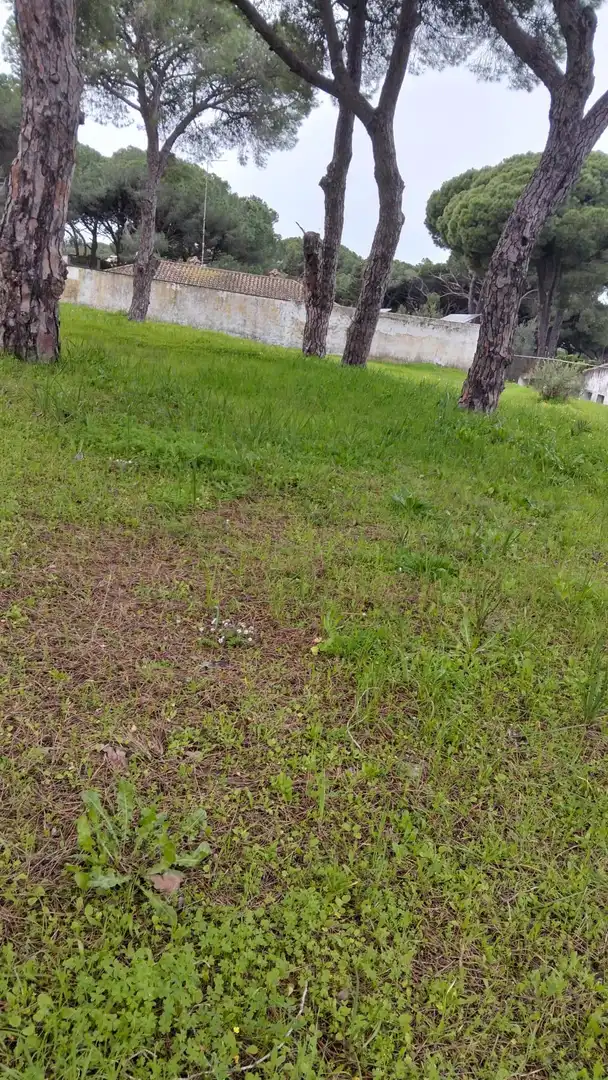Residential land for sale in Los Franceses – La Vega, imagen 4
