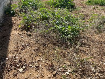 Terreni e lotti in vendita a Periurbano Oeste - Sierra