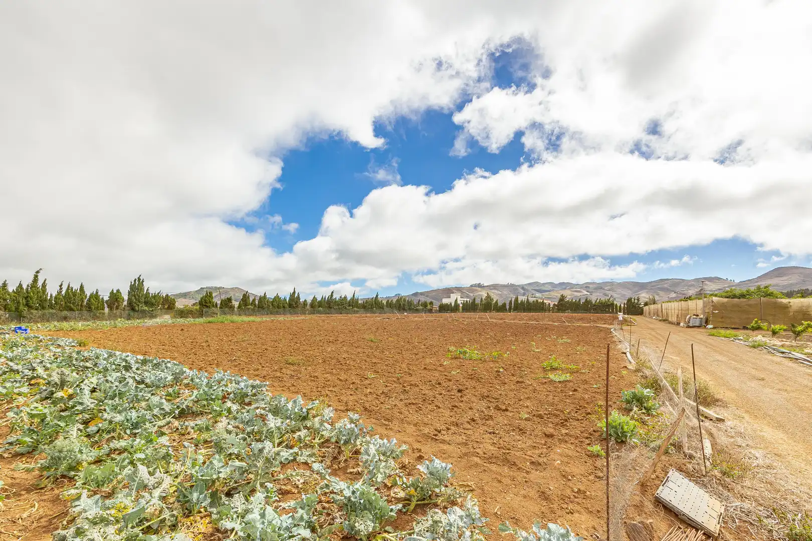 Residencial en venta en Lugar Lomo del Poleo, Saucillo - Fagajesto - Juncalillo