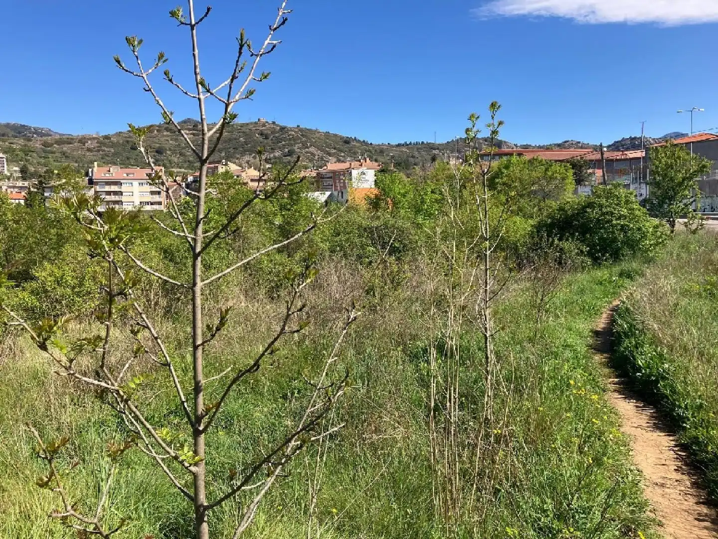 Terreni e lotti in vendita a Berga, imagen 3