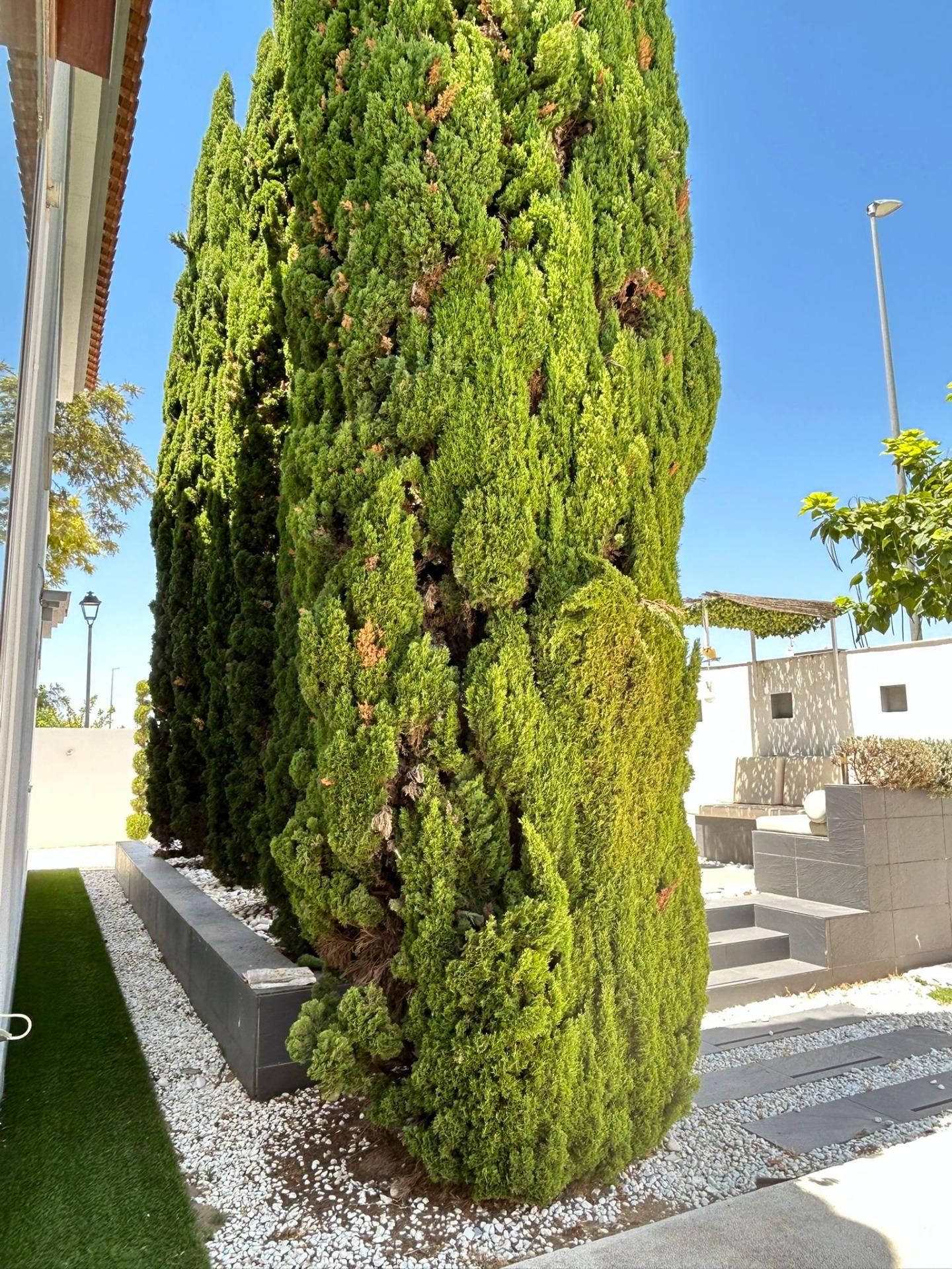 Jardí de Casa adosada en venda en Palomares del Río amb Aire condicionat, Calefacció i Jardí privat