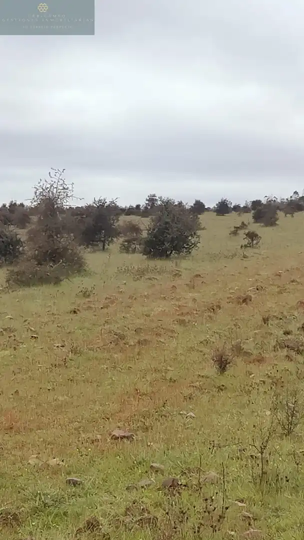 Finca rústica en venta en La Nava de Santiago  con Piscina
