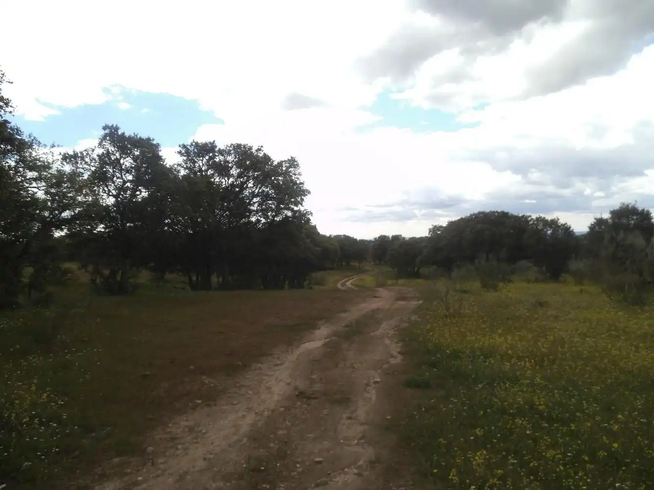 Residencial en venda en Valdemorillo