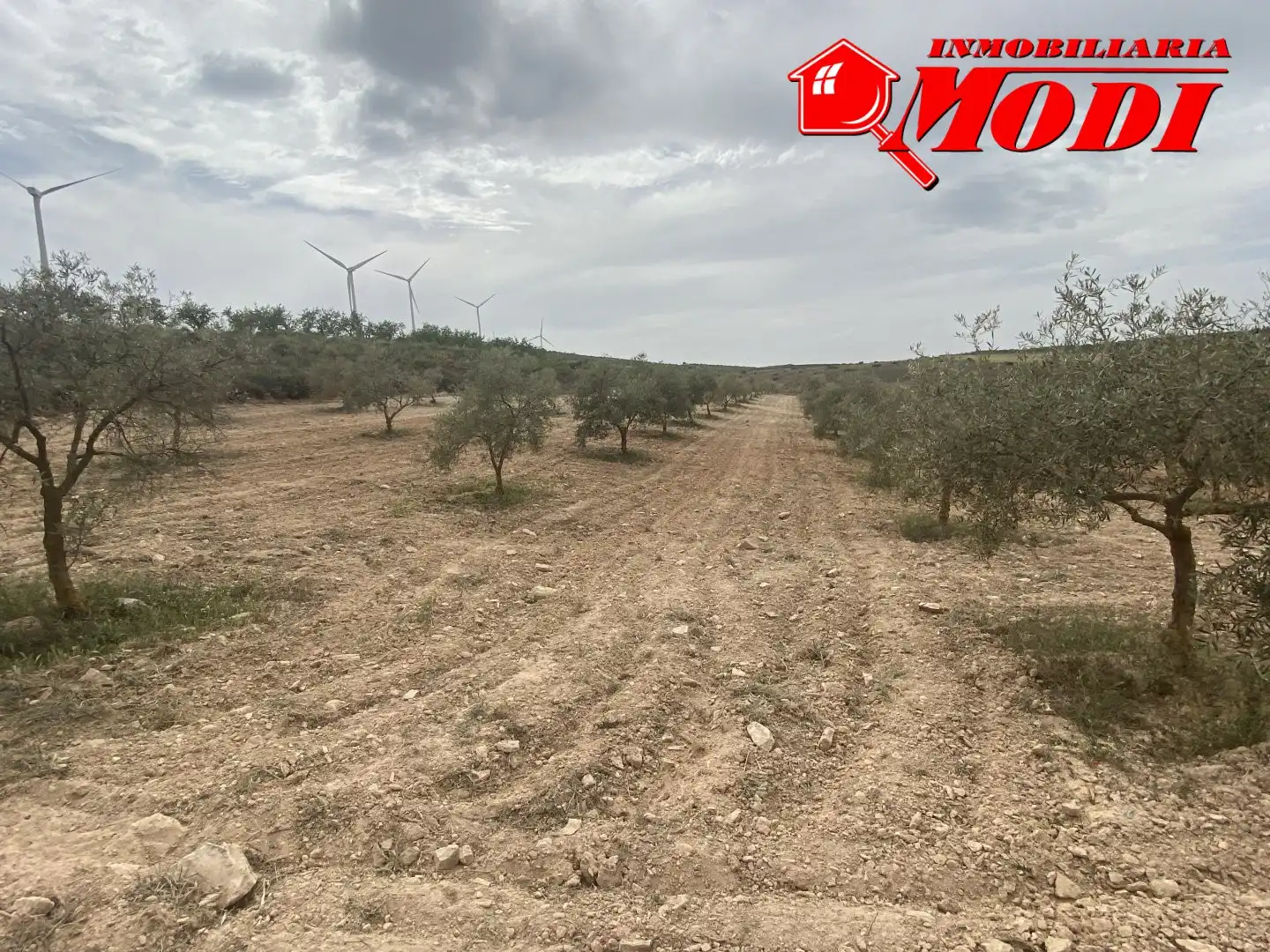 Terrenys i solars en venda a Padul, imagen 6