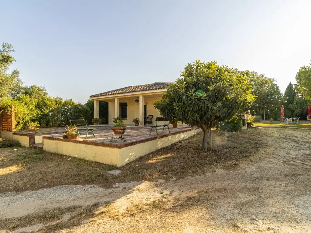 Vista exterior de Casa o chalet en venta en Jerez de la Frontera