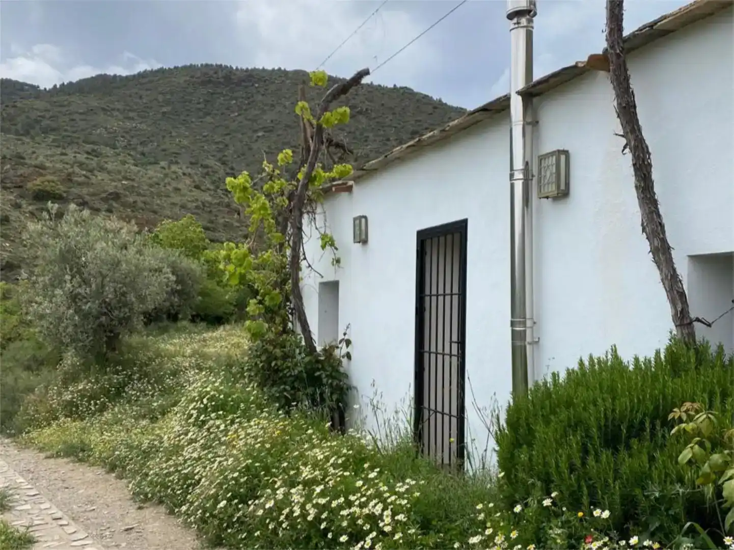 Vista exterior de Finca rústica en venda en Abla