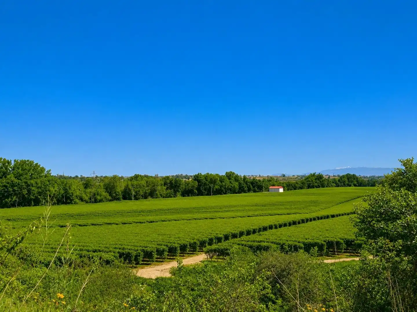 Exterior view of Land for sale in Torrejoncillo