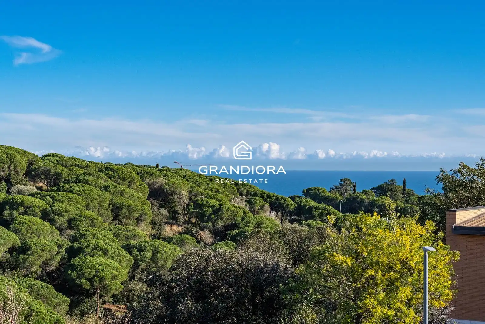 Detached house with pool for sale in Avenida del Regadiu, imagen 43