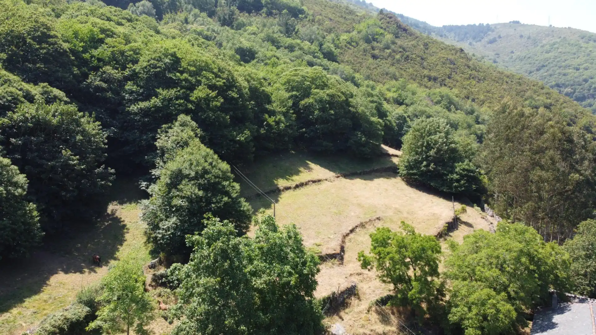 Casa o xalet en venda en Illano