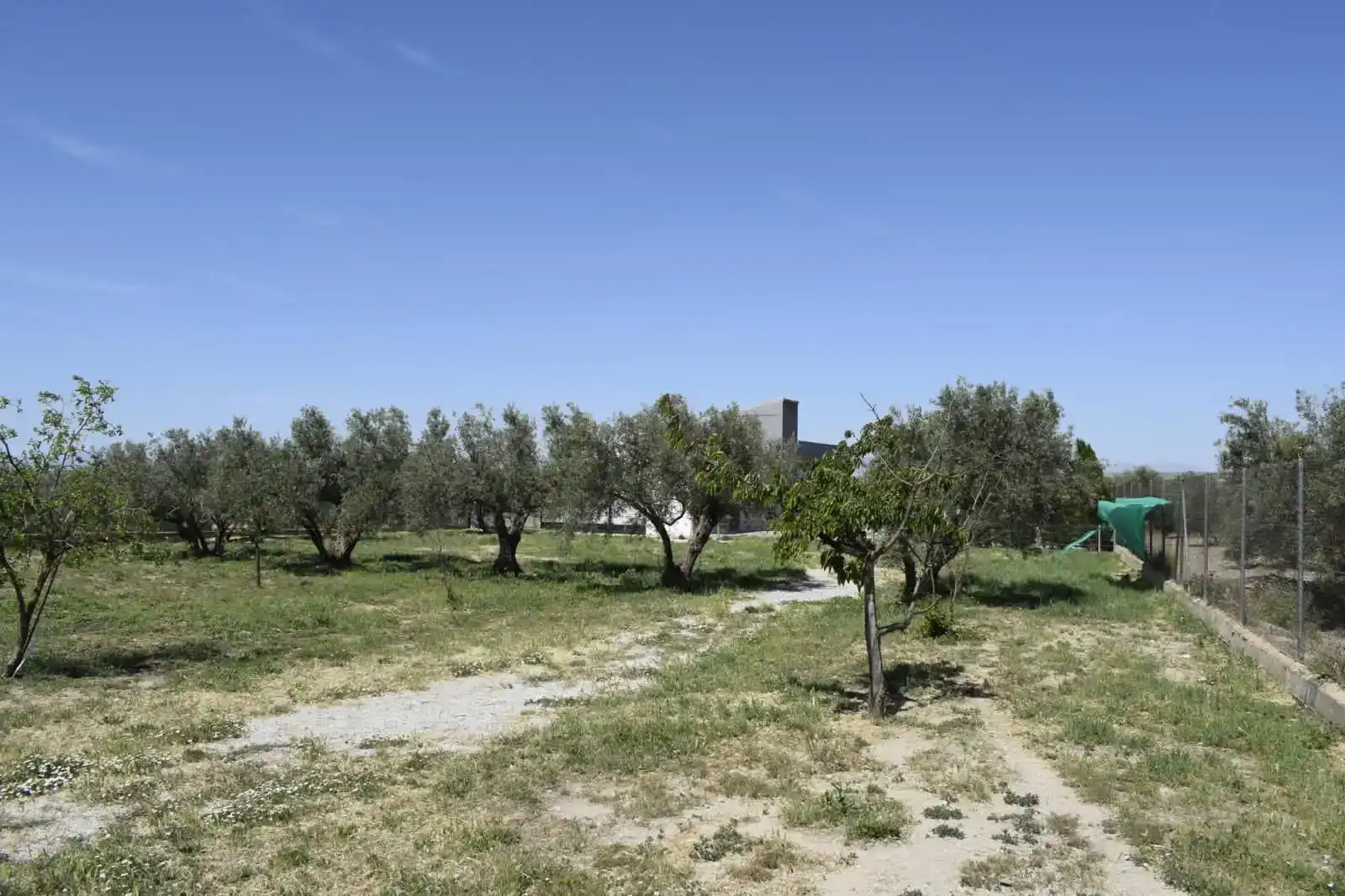 Casa o chalet en venta en Baza con Jardín privado y Piscina