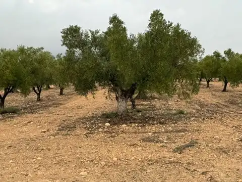 Wohnbaugrundstück zum Verkauf in Avenida Villena, imagen 9