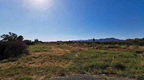 Photo 3 of Residential for sale in Fuente Oliver. Poligono 10 Parcela, 454, -1, Playa del Puig, Valencia