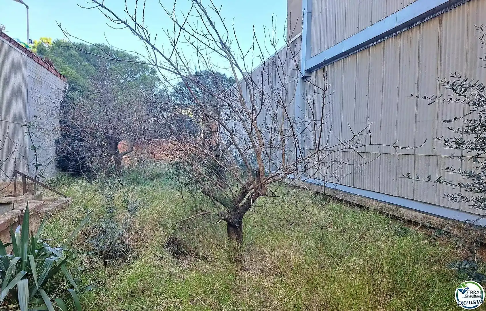 Terreny residencial en venda a Oliva, imagen 2