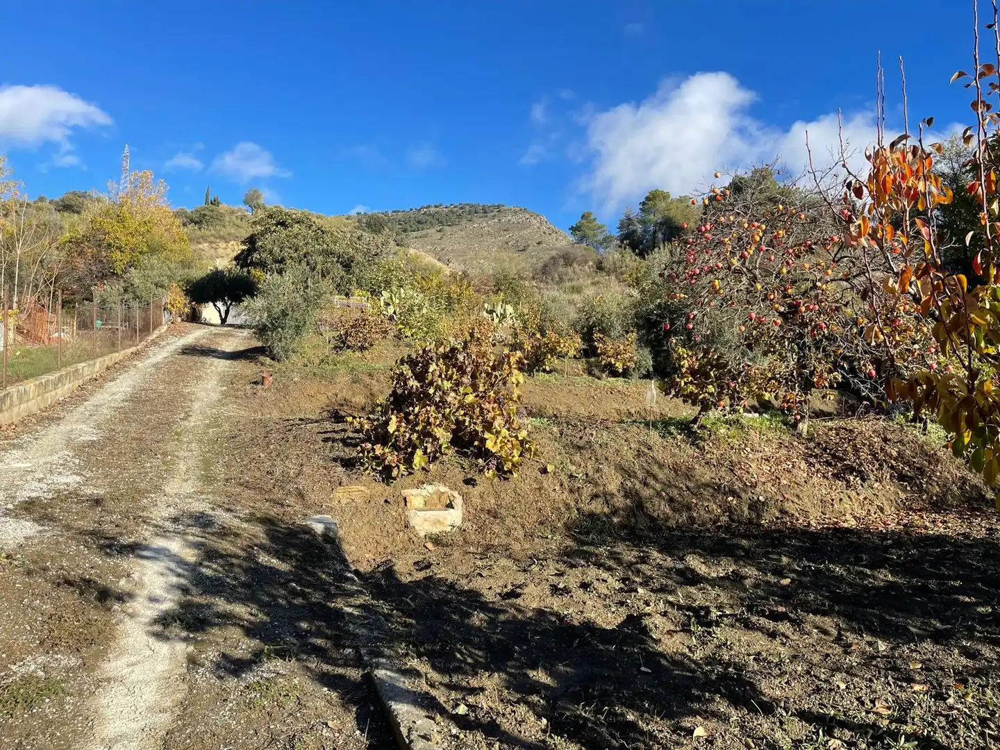 Terreno rustico in vendita a Huétor de Santillán, imagen 9