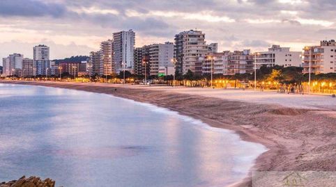 Platja dAroLocal, imatge 5