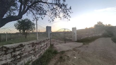 Foto 3 de Terreno en venta en Alconera, Badajoz