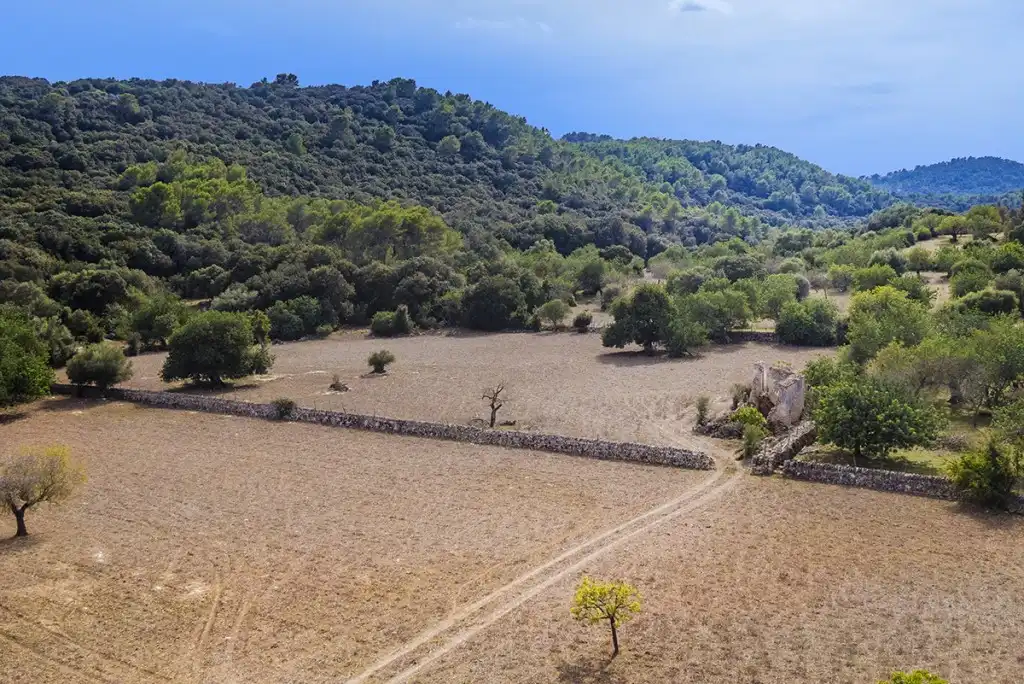 Terreno rustico in vendita a Pollença Poble
