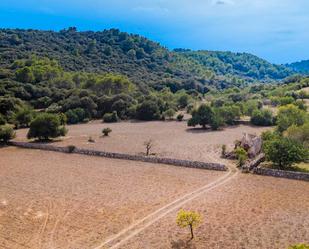 Grundstücke zum verkauf in Pollença