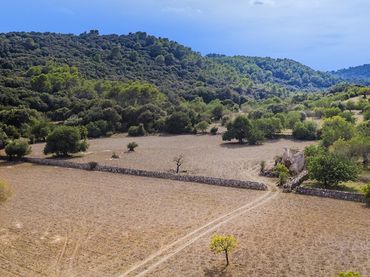 Terreno rustico in vendita a Pollença Poble