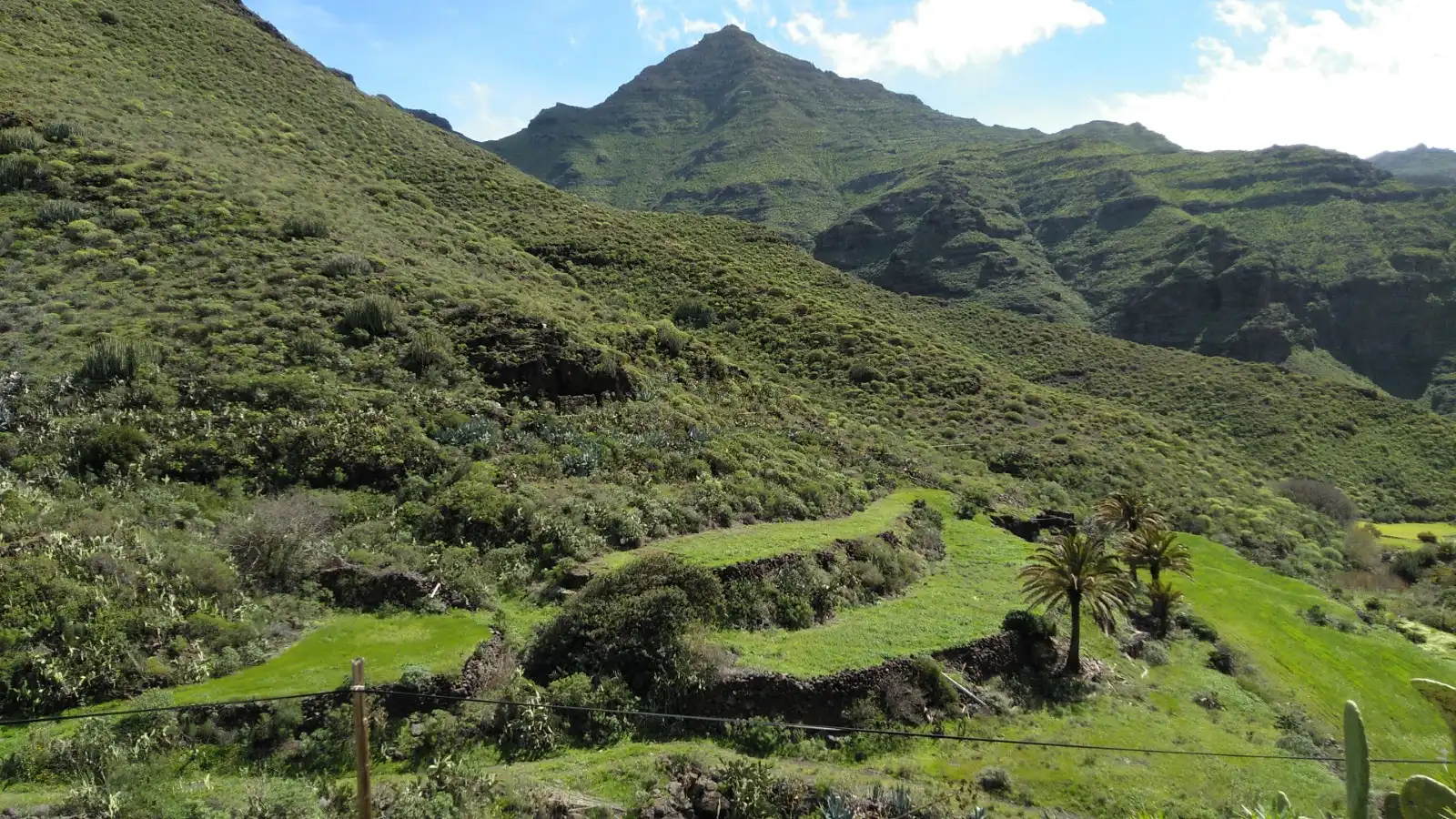 Vista exterior de Terreno en venta en Cidamón