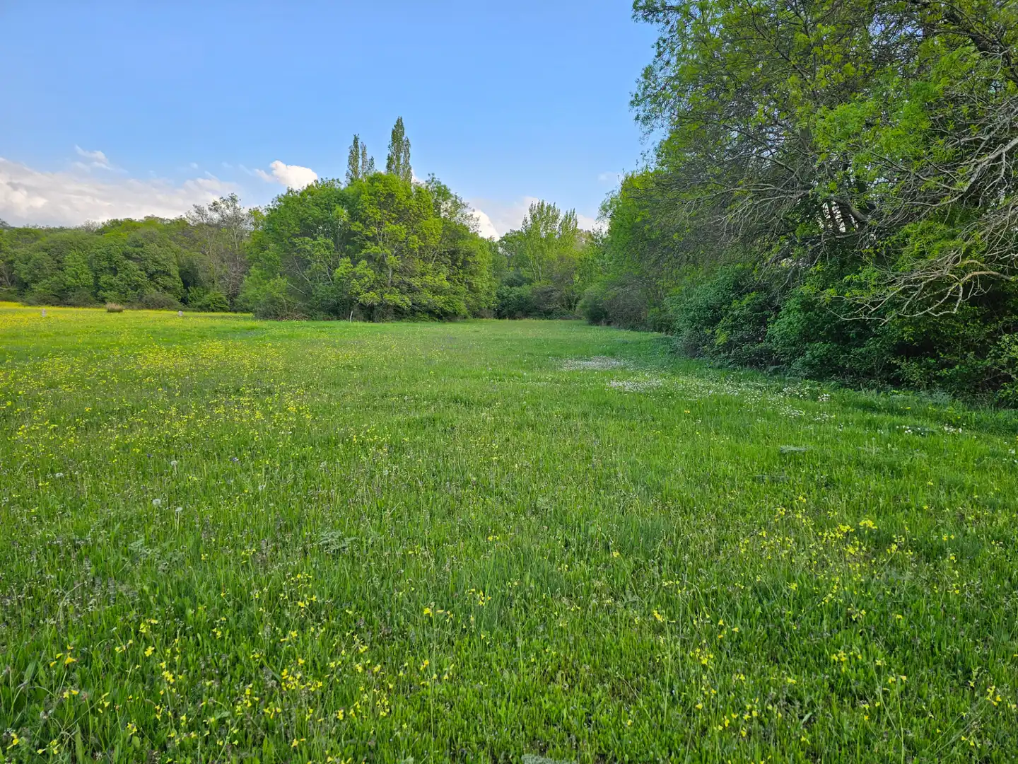 Rural land for sale in Zarzalejo, imagen 4