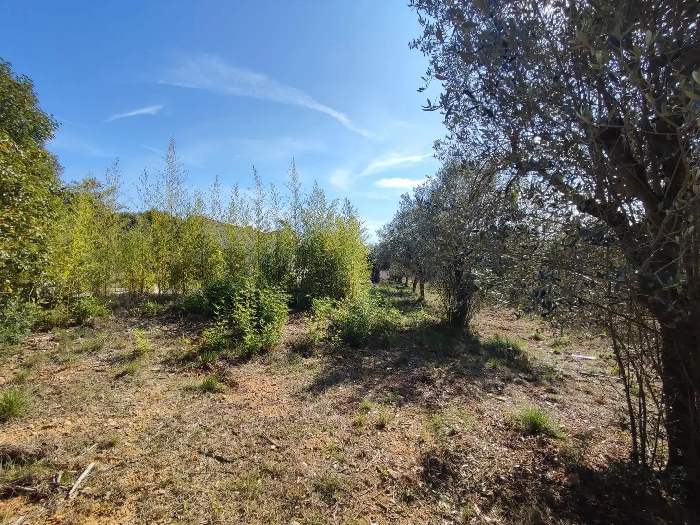 Country homes for sale in Collbató
