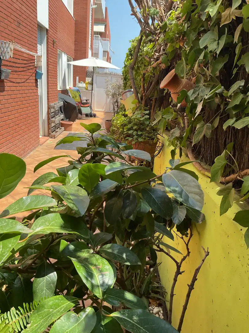 Piso con piscina en venta en Plaça de la Mare, imagen 11