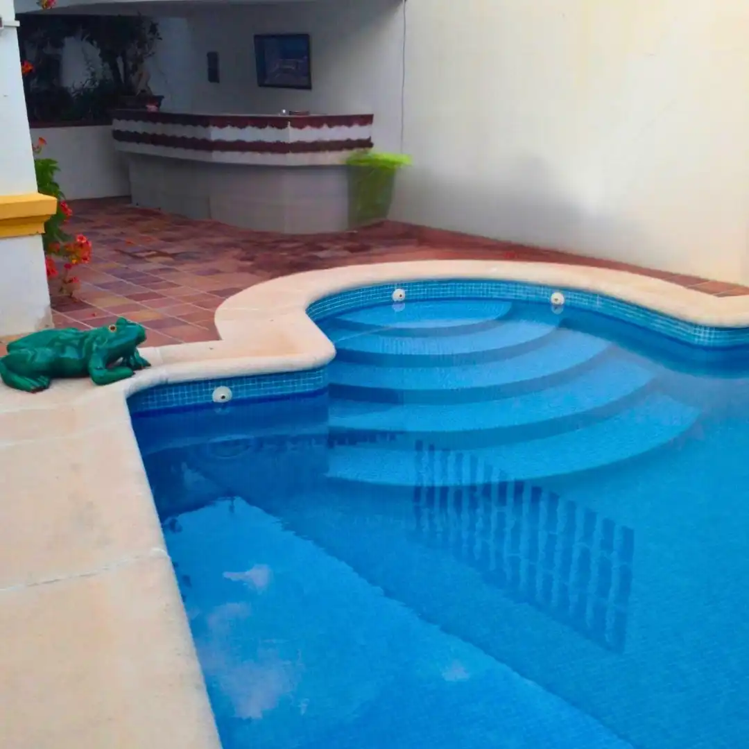 Piscina de Casa o chalet en venta en Villanueva del Arzobispo con Terraza