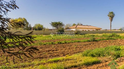 Foto 5 von Country house zum Verkauf in Caballero Bonald - San José Obrero - Guadalcacín, Jerez de la Frontera