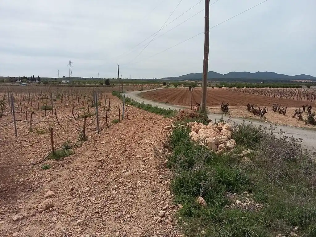 Terreny rústic en venda a POLIGONO, imagen 2