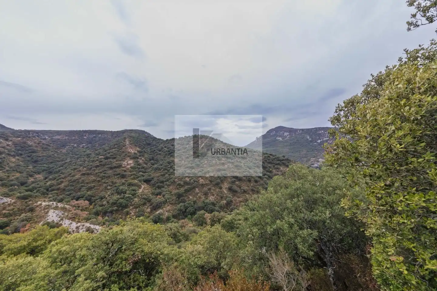 Maison jumelée à vendre à Calle Santa María, imagen 57