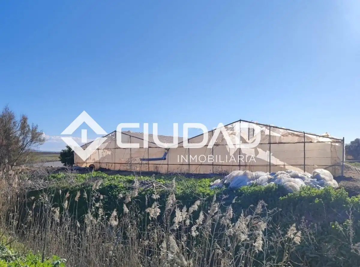 Terreno en venta en Lebrija