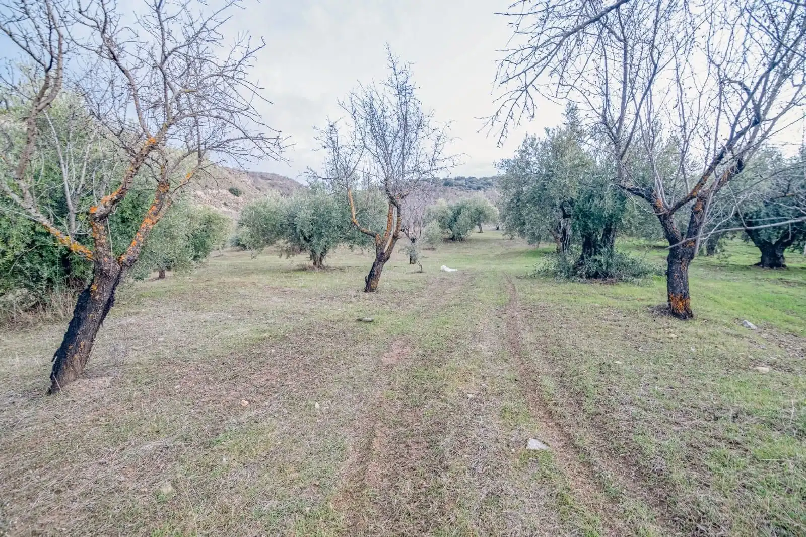 Mini appartamento in vendita a Pinos Genil, imagen 8