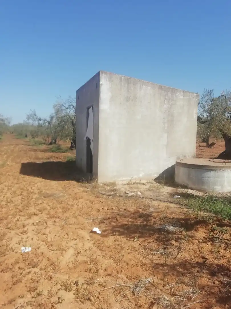 Casa rústica en venda a Sanlúcar la Mayor, imagen 10
