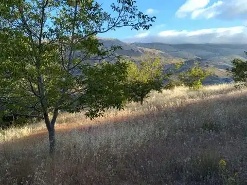 Terreni e lotti in vendita a la fuente de la higuera 22, imagen 5