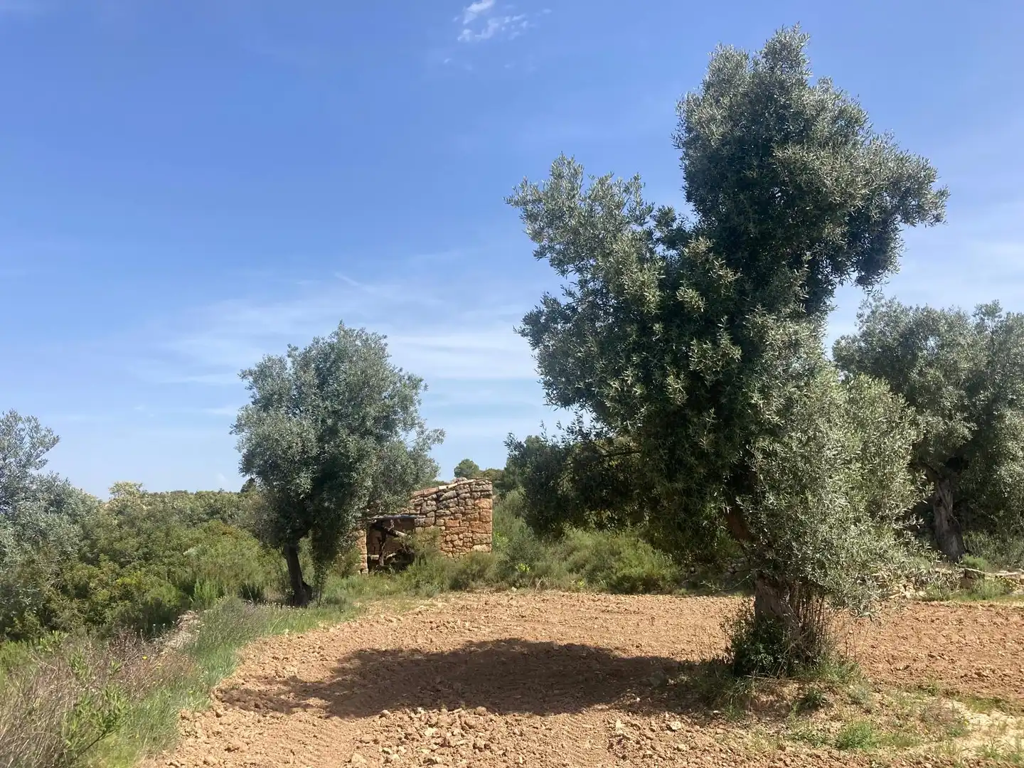 Terreni e lotti in vendita a Calaceite, imagen 5