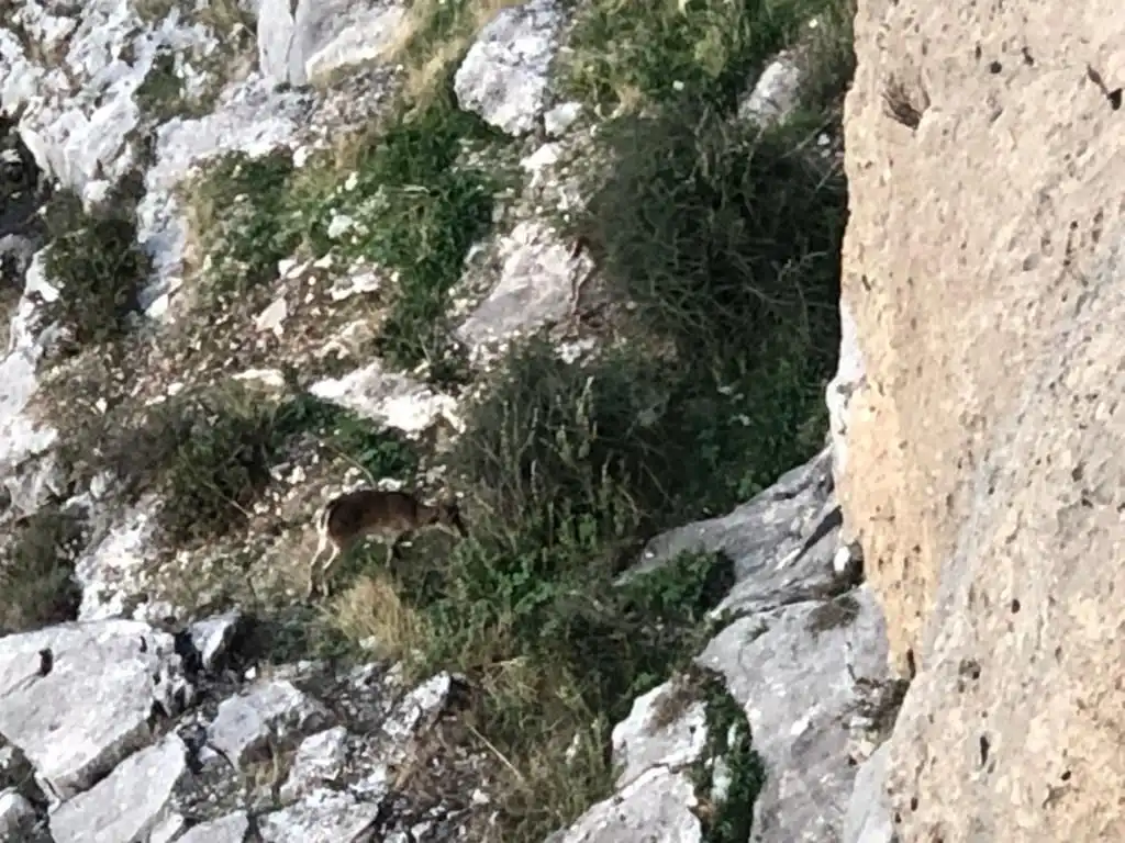 Vista exterior de Terreno en venta en Jaén