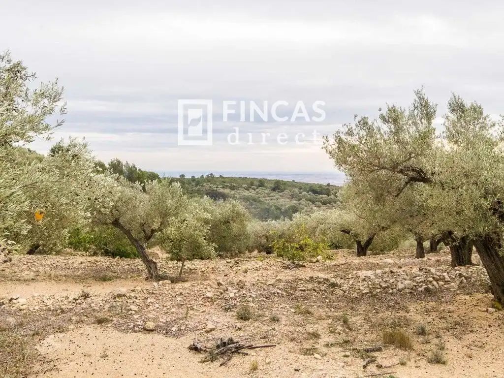 Finca rústica en venda en Tortosa amb Moblat
