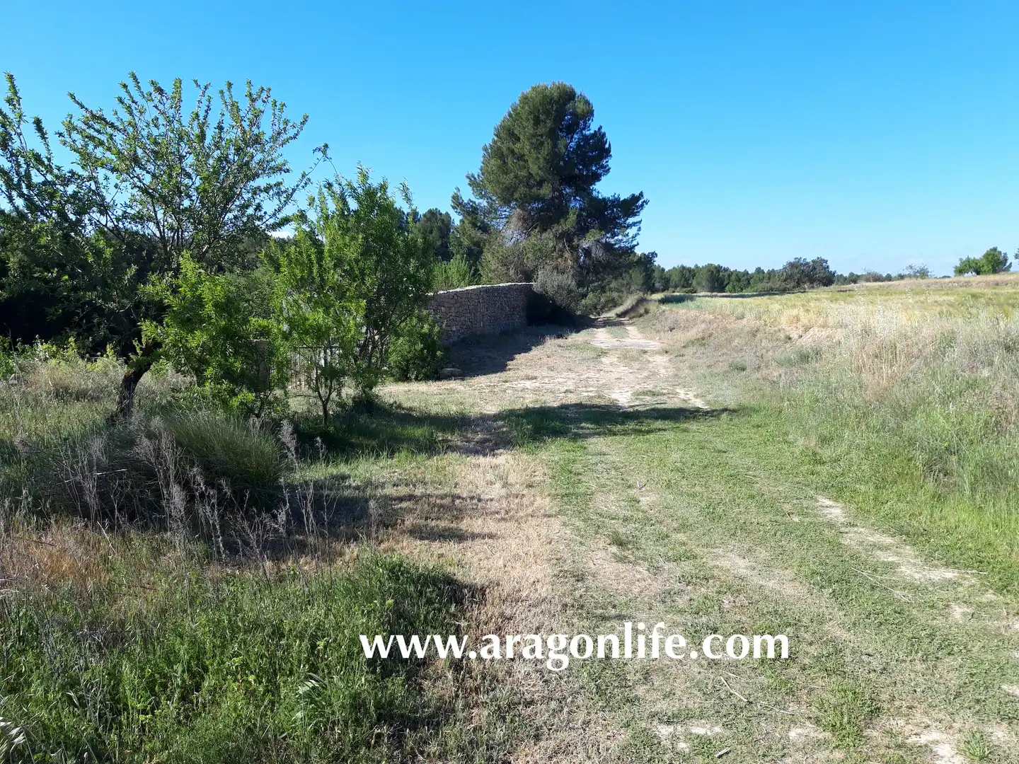 Finca rústica en venta en Calaceite